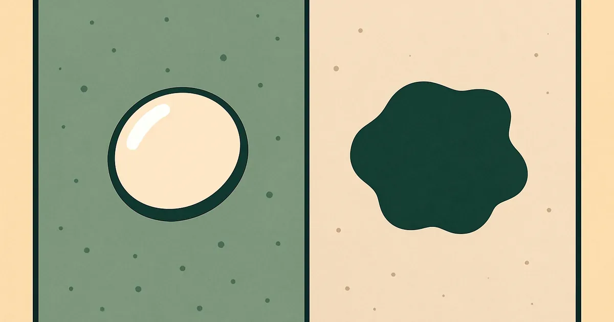 Water bead test on sealed concrete vs water absorbing into unsealed concrete